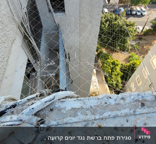 רשת למניעת יונים עם כלי עבודה על אדן חלון